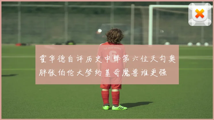 霍华德自评历史中锋第六位天勾奥胖张伯伦大梦约基奇魔兽谁更强